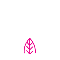 Lokal Adventure - Moris Out Of The Box