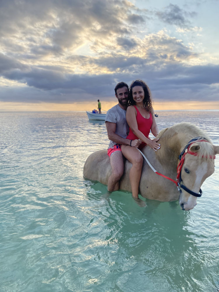Swimming with horses <small>An extraordinary equestrian experience in the turquoise lagoon</small>