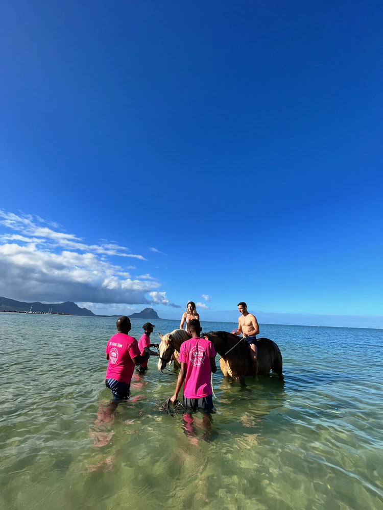 Swimming with horses <small>An extraordinary equestrian experience in the turquoise lagoon</small>