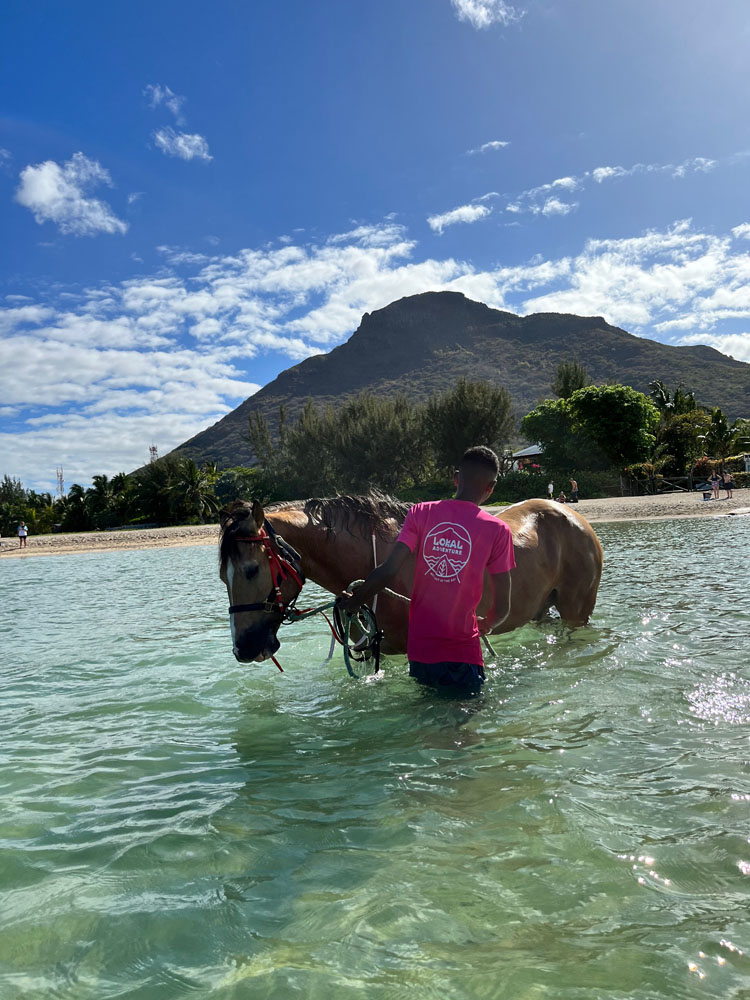 Nage avec les chevaux <small>Une expérience équestre hors du commun dans le lagon turquoise</small>