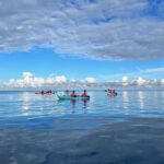 Kayak à la rencontre des dauphins <small></noscript>dans la Baie et la rivière de Tamarin</small>
